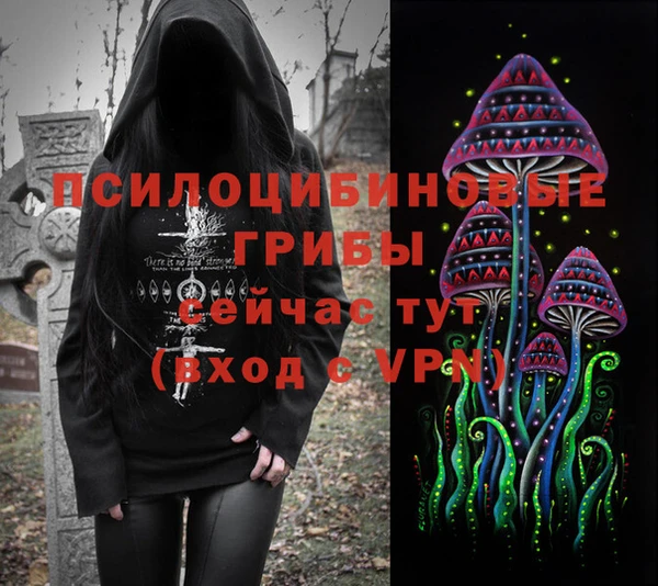 гидропоника Зерноград