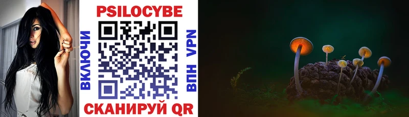 Купить где  Дегтярск  Псилоцибиновые грибы мухоморы 